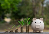 A piggy bank stands beside growing plants on stacks of coins, symbolizing financial growth and sustainability.