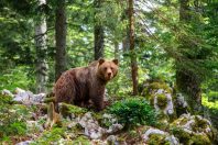 AdobeStock_410297927-min