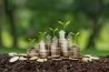Panorama des financements climat des collectivités locales