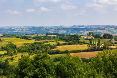 Arrachage des haies : un projet de décret met le feu au bois