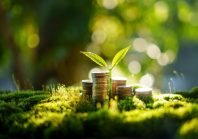 PLF 2026 : l’écologie locale reste malmenée