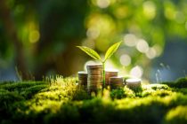 Saving money and growth and environment concept, money pile on green moss with evening light in nature