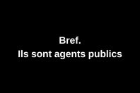 Bref. Ils sont agents publics