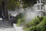 antes (Loire-Atlantique) développe des îlots 
de fraîcheur pour protéger sa population.