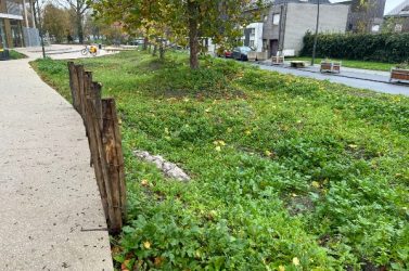 Divers aménagements permettent de privilégier l’infiltration et le stockage des eaux pluviales 
à la source.