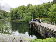 IMG_0337