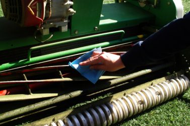 La technique de l’ADN environnemental permet de
détecter les maladies du gazon grâce à une lingette
passée sur les lames d’une tondeuse.