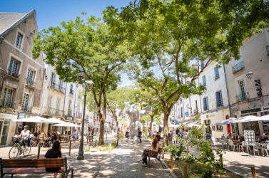 Tours Place du Grand Marche