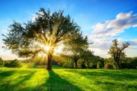 adobestock-143780081a