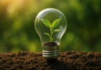Innovative eco-friendly light bulb containing miniature plant symbolizing sustainable green energy concepts