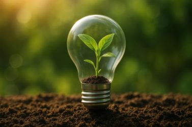 Innovative eco-friendly light bulb containing miniature plant symbolizing sustainable green energy concepts