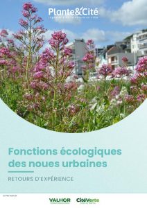 etude_de_cas_noues_2025_VF