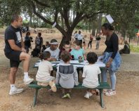 Jeu du mémory des oiseaux entre les résidents et les enfants du centre de loisir.