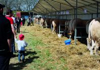 À Beaucroissant, huit siècles de foire et d’histoire