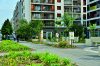inauguration micro-forêt place Thérèse Pierre 2, Rennes