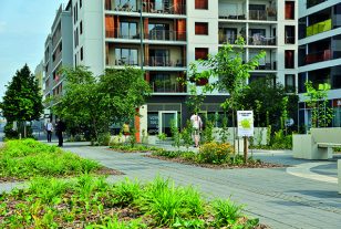 Les microforêts urbaines prennent racine