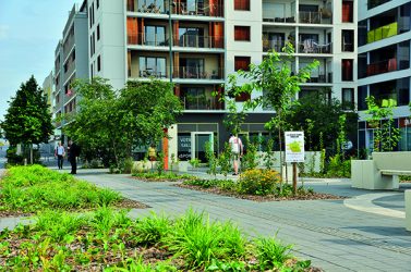 inauguration micro-forêt place Thérèse Pierre 2, Rennes