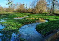 Restauration d’une zone humide et d’un cours d’eau à Irodouër en Bretagne (Ille-et-Vilaine).