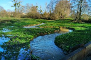 Restauration d’une zone humide et d’un cours d’eau à Irodouër en Bretagne (Ille-et-Vilaine).