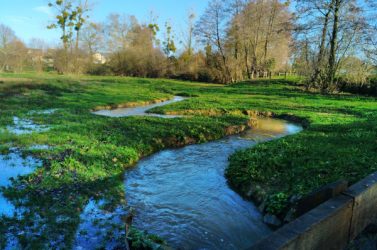 Restauration d’une zone humide et d’un cours d’eau à Irodouër en Bretagne (Ille-et-Vilaine).