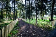 A Angers, le parc du Hutreau, très ombragé, a été spécialement aménagé pour les enfants.