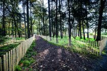 A Angers, le parc du Hutreau, très ombragé, a été spécialement aménagé pour les enfants.