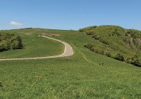 Le Territoire de Belfort refait une beauté naturelle au sentier du Ballon d’Alsace