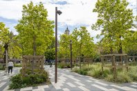 Un exemple ici d'intégration du végétal dans l'espace public urbain avec cet espace vert et de détente pour les familles et la population urbaine lors des premiers beaux jours.