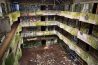 Urbex : que peut le maire face à l’attrait pour les lieux abandonnés ?