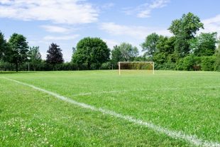 Soccer Field