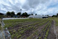 ferme Chambray les tours_Yves Delcroix