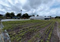ferme Chambray les tours_Yves Delcroix