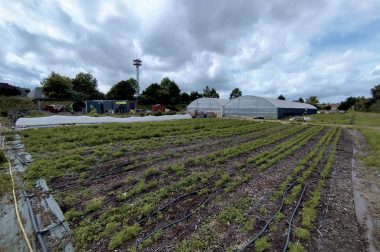 Une ferme en régie alimente les écoles et les crèches de Chambray-lès-Tours