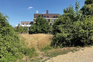 Une forêt urbaine s’implante sur une ancienne friche à Noisy-le-Grand