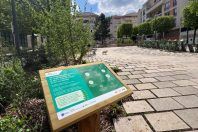 Sur la place Tony-de-Graaf à Meudon (Hauts-de-Seine),
425 m² d’espace minéral ont été désimperméabilisés,
7 arbres et 227 arbustes plantés, 7 massifs dont une noue
(420 m2) et 2 plates-bandes aromatiques ont été créés.