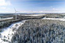 VISUEL ARTICLE TOTALENERGIES_ART 5