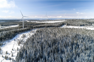 VISUEL ARTICLE TOTALENERGIES_ART 5