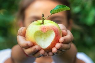 Manger sain sans se ruiner : comment cette ville de Seine-Saint-Denis révolutionne l’accès au bio