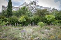 A Aubervilliers, La végétalisation du site permet de lutter contre
le phénomène d’îlot de chaleur urbain malgré
la conservation de l’asphalte.