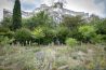 A Aubervilliers, un jardin joyeux germe d’un vieux parking