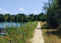 Le conseil départemental de l’Isère a aménagé un sentier d’interprétation sur
l’espace naturel sensible de l’étang de Montjoux, dont une partie est accessible
aux personnes à mobilité réduite.