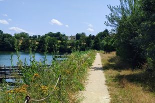 Le conseil départemental de l’Isère a aménagé un sentier d’interprétation sur
l’espace naturel sensible de l’étang de Montjoux, dont une partie est accessible
aux personnes à mobilité réduite.