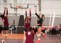 Équipements, sites de pratique : utiliser Data-ES, outil collaboratif et stratégique pour les politiques sportives territoriales