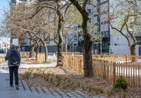 2.© Métropole de Lyon Anaïs MERCEY-light