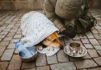 Face au grand froid, des villes plus ou moins chaleureuses avec les sans-abri