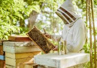 Emploi : le cumul d’activités fait recette