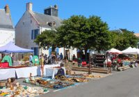 Mettre en concurrence les titres d’occupation du domaine public en 5 étapes