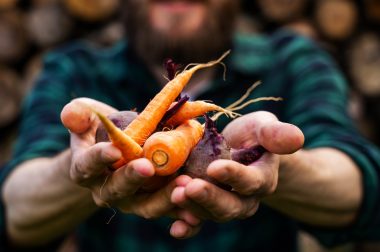 Le Gers donne un coup de pouce aux achats alimentaires locaux et de qualité