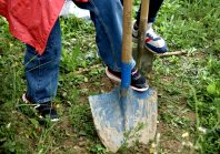 Les potagers pédagogiques renforcent la connexion des enfants à la nature
