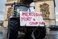 Mercosur photo